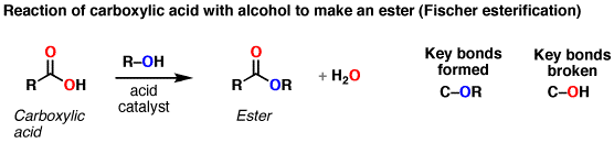 Conversion of carboxylic acids to esters using acid and alcohols