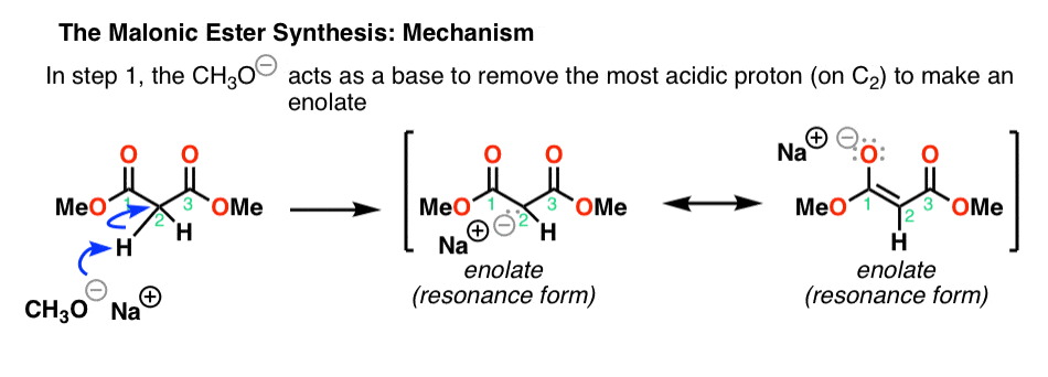 The Malonic Ester Synthesis — Master Organic Chemistry