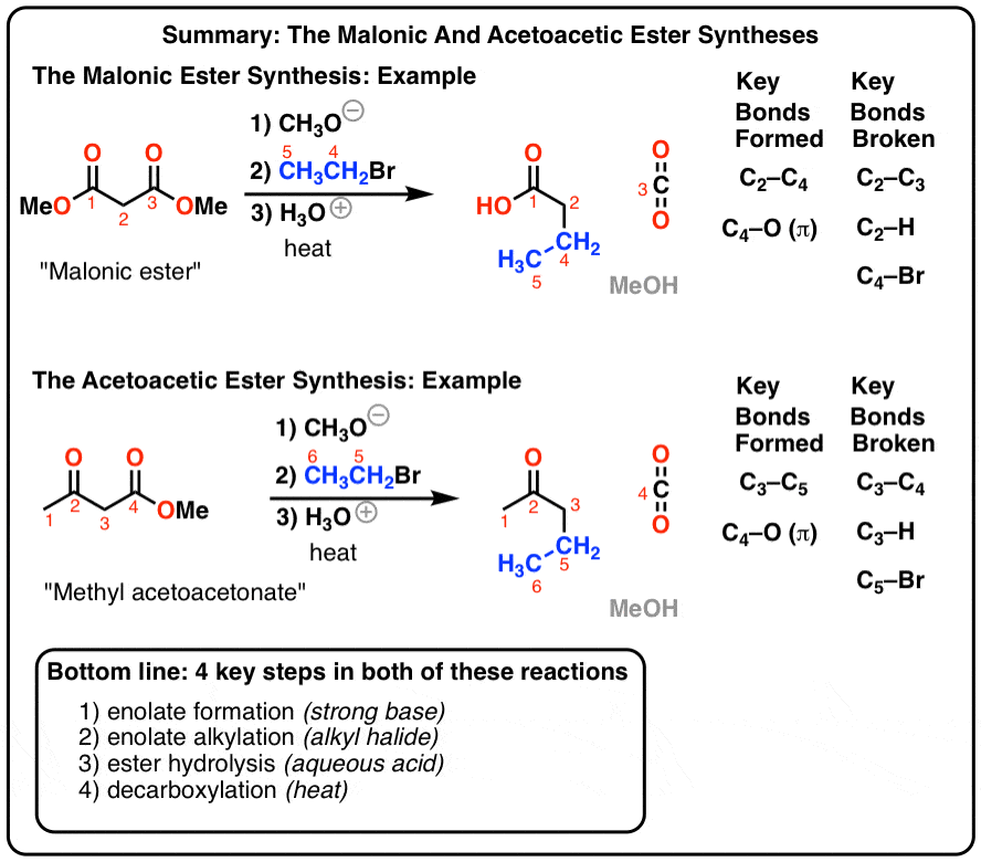 a report on the preparation and purification of an ester 2018-6-13 this experiment had produced a considerable yield of isoamyl acetate keywords: ester, fischer esterification, isoamyl acetate, mechanism. a report on the preparation and purification of an ester 2018-6-13 this experiment had produced a considerable yield of isoamyl acetate keywords: ester, fischer esterification, isoamyl acetate, mechanism.