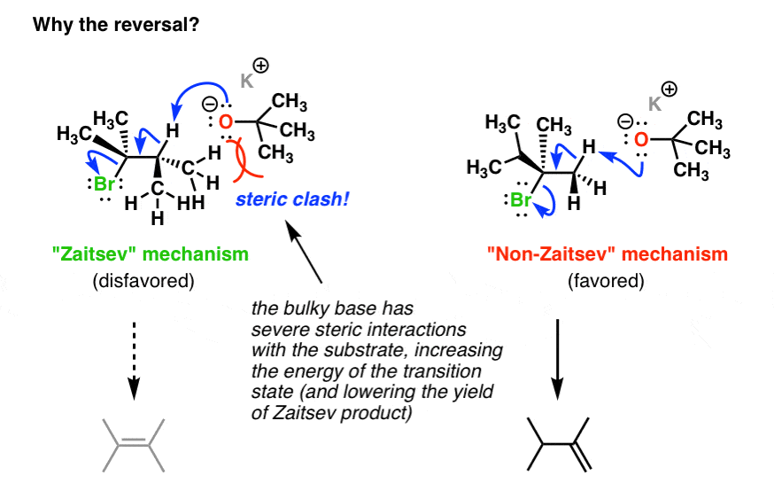 Bulky Bases in Elimination Reactions — Master Organic Chemistry