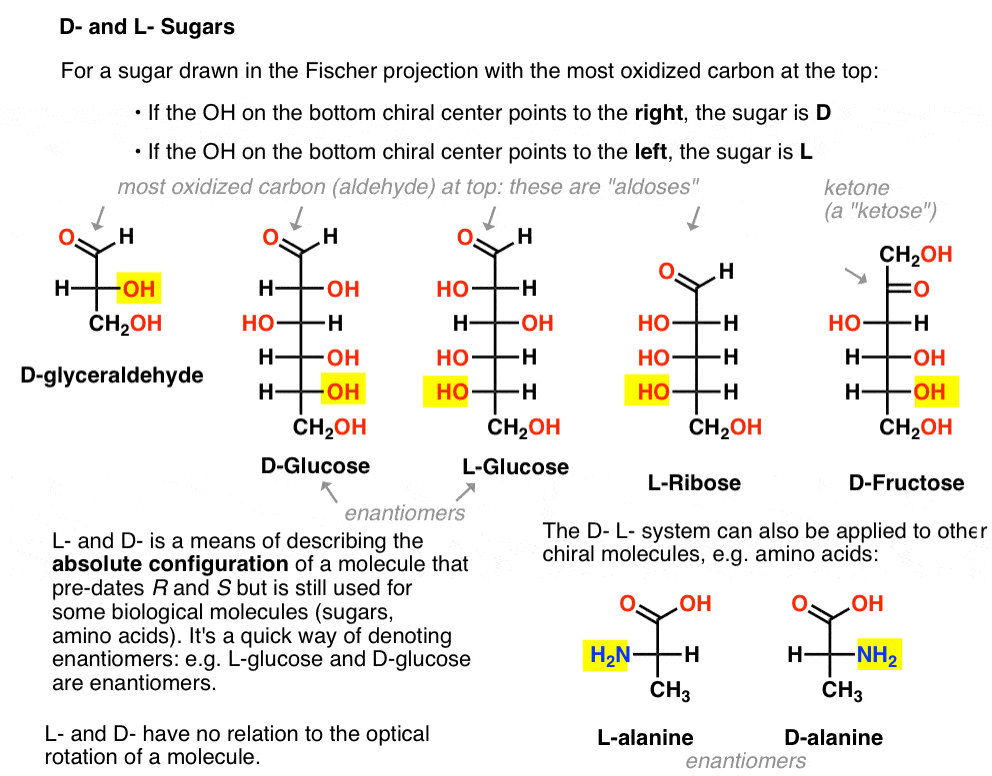 D and L Sugars — Master Organic Chemistry