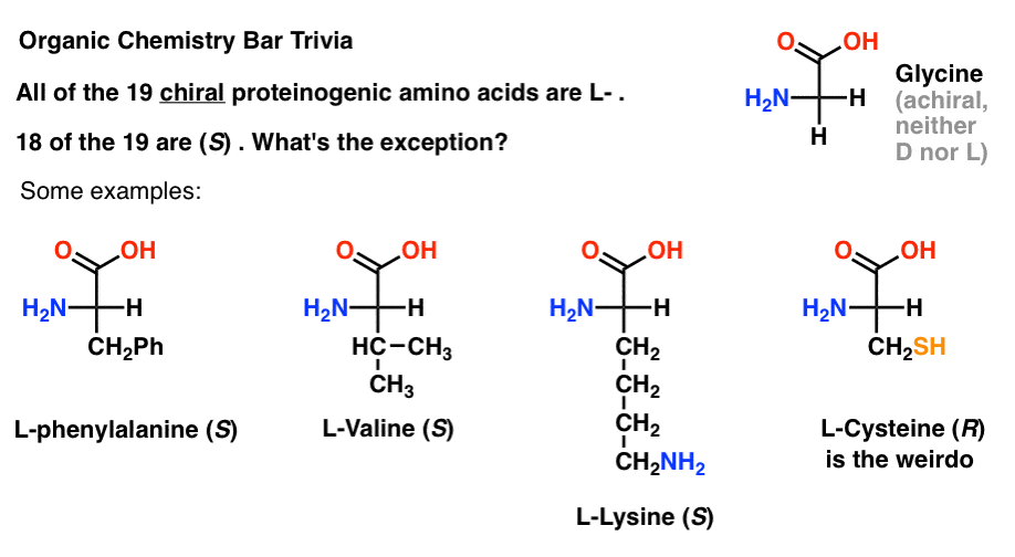 D and L Sugars — Master Organic Chemistry