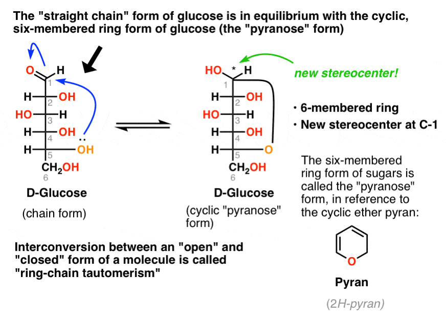 Pyranoses and Furanoses RingChain Tautomerism In Sugars — Master