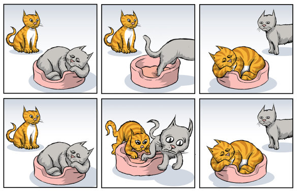 SN1 vs SN2 Mechanism Explained With Cats